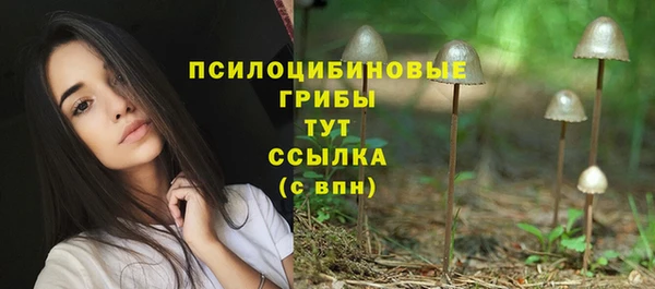 шишки Алексин