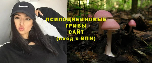винт Алзамай