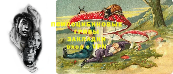 шишки Алексин