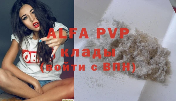 винт Алзамай