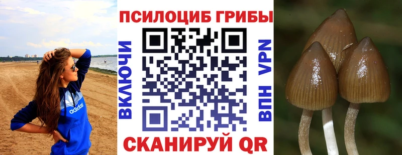 Галлюциногенные грибы прущие грибы  MEGA сайт  Княгинино  цены наркотик 